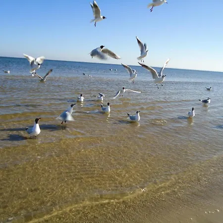 Duenenschloss Hotel 3*